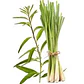 Lemongrass BioGreen Aromatizador Línea Botánica  330ml - Miniatura 4
