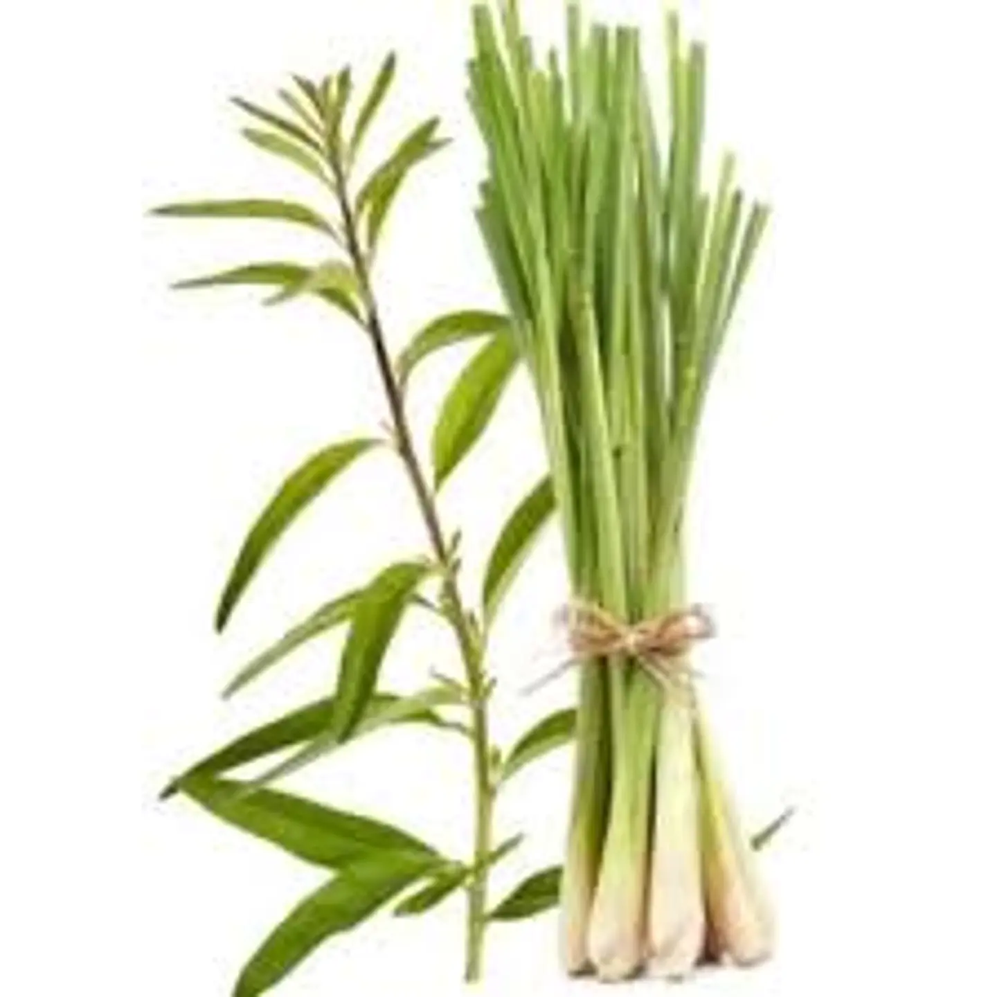 Lemongrass BioGreen Difusor Línea Botánica  250ml 4