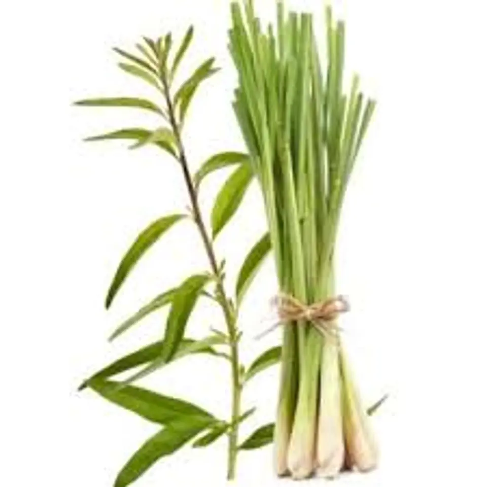Lemongrass BioGreen Difusor Línea Botánica  250ml 4