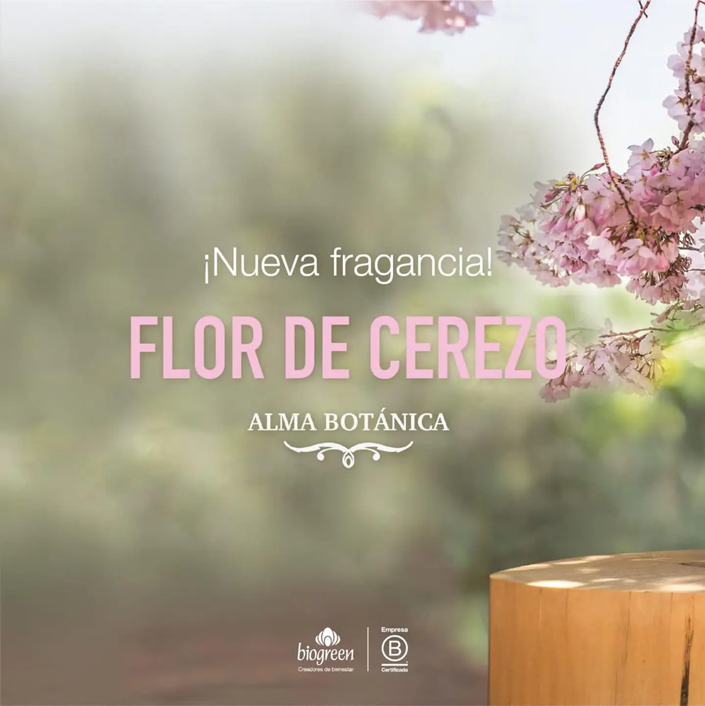 Flor de Cerezo BioGreen Difusor Línea Botánica  250ml 2