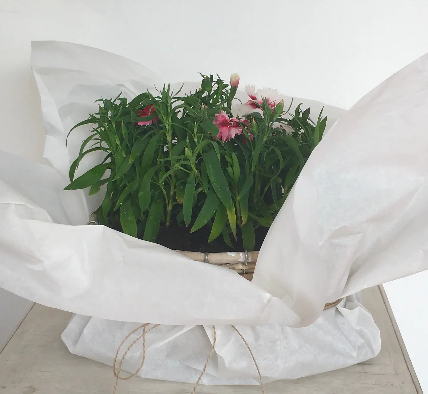 Canasto Mediano Ovalado de Mimbre con Flores o Almácigos. 3