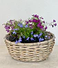 Canasto Pequeño Ovalado de Mimbre con Flores - Miniatura 1