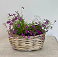 Canasto Pequeño Ovalado de Mimbre con Flores - Miniatura 2