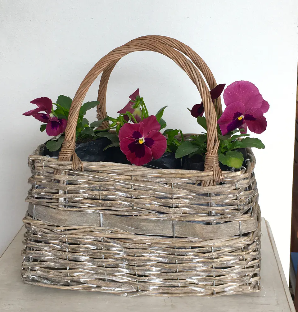 Canasto Grande con Asas de Mimbre con Flores o Almácigos. 2
