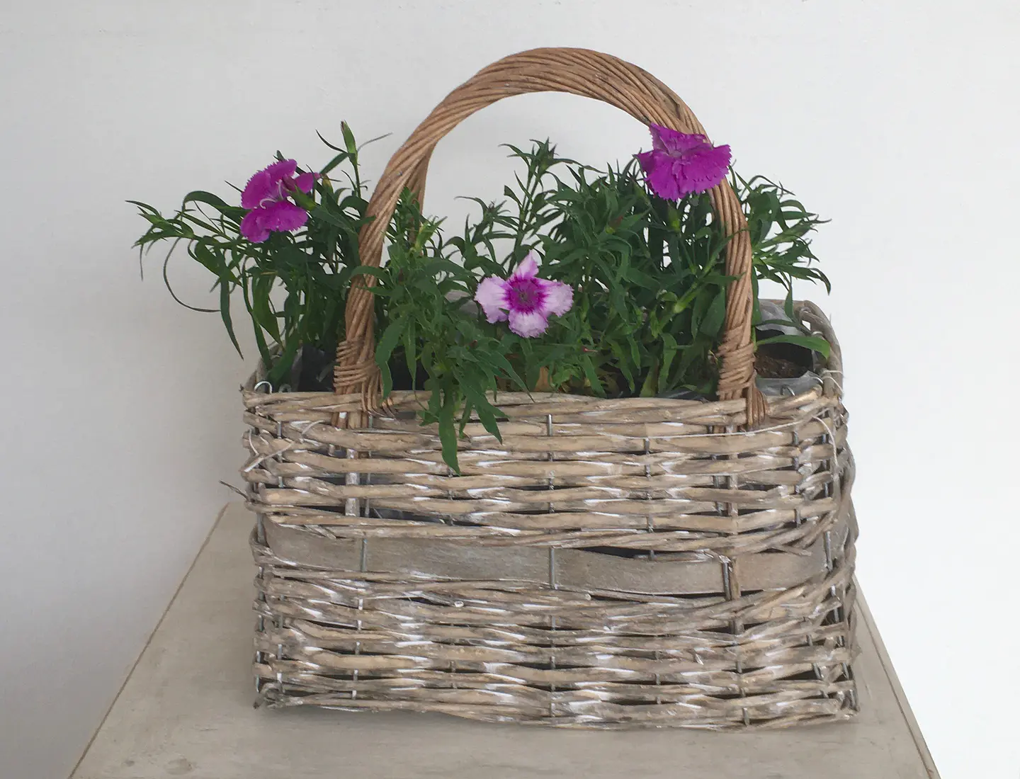 Canasto Grande con Asas de Mimbre con Flores o Almácigos. 3