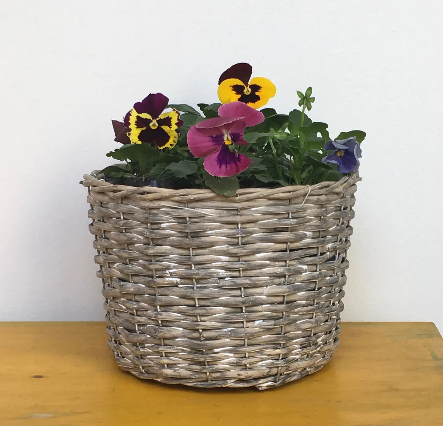Canasto Mediano Cilíndrico de Mimbre con Flores o Almácigos. 1