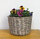 Canasto Mediano Cilíndrico de Mimbre con Flores o Almácigos. - Miniatura 1