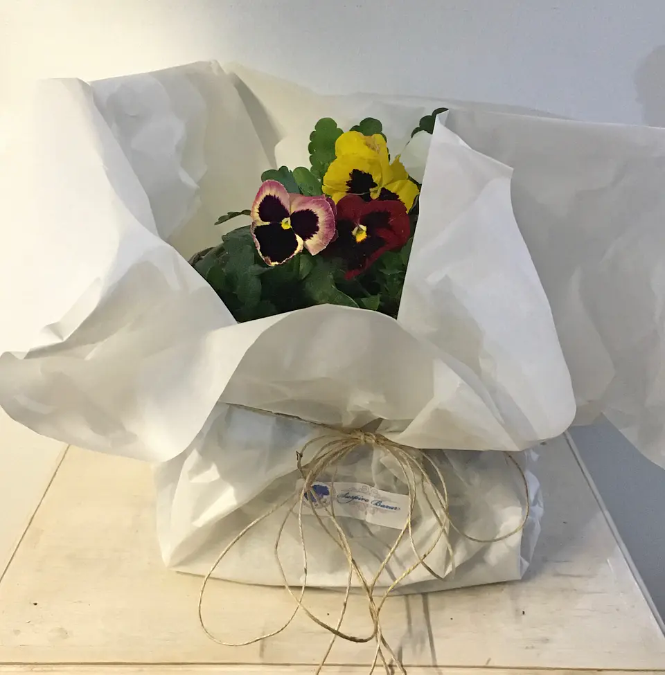 Canasto Mediano Cilíndrico de Mimbre con Flores o Almácigos. 3