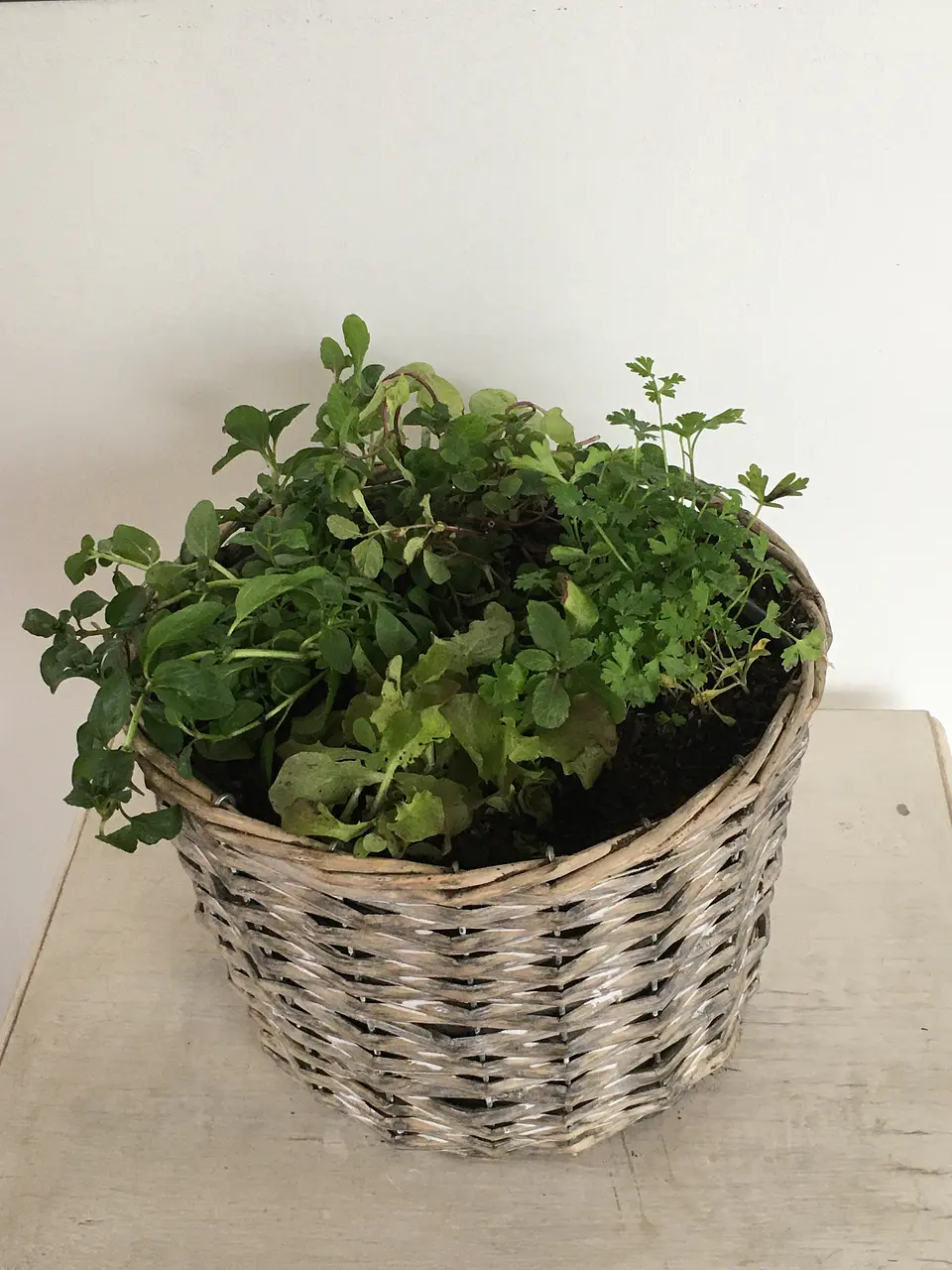 Canasto Mediano Cilíndrico de Mimbre con Flores o Almácigos. 5