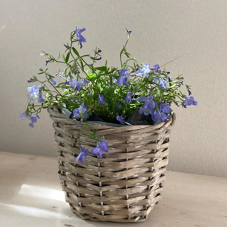 Canasto Pequeño Cilíndrico de Mimbre con Flor 1