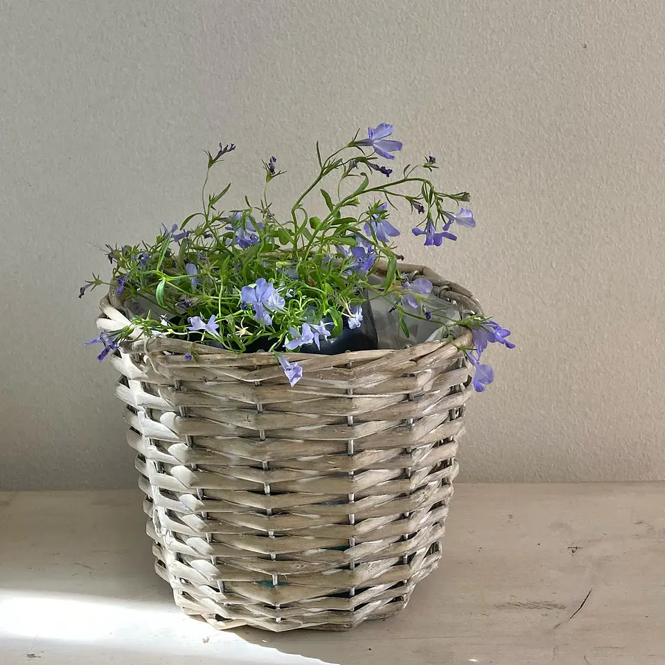 Canasto Pequeño Cilíndrico de Mimbre con Flor 2