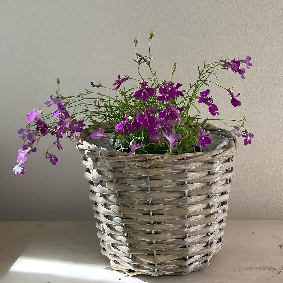 Canasto Pequeño Cilíndrico de Mimbre con Flor 3