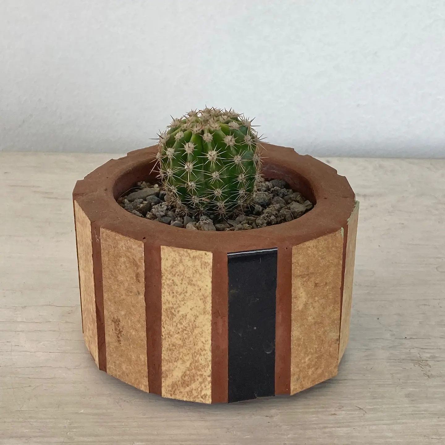 Macetero Mosaico Pequeño Beige Parodia Crassigibba 2