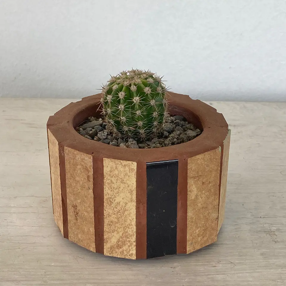Macetero Mosaico Pequeño Beige Parodia Crassigibba 2