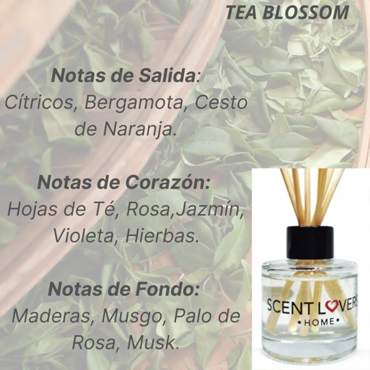Tea Blossom Difusor con Varitas 50ml 2