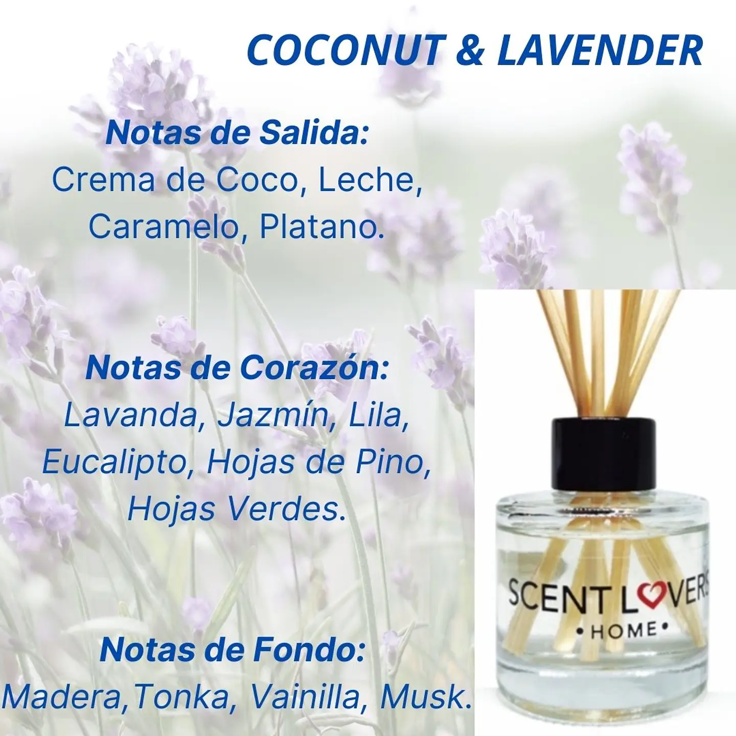 Coconut & Lavender Difusor con Varitas 50ml 2