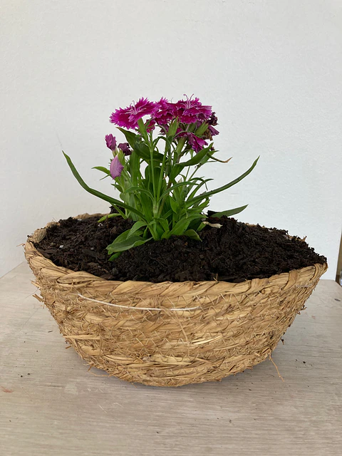 Canasto Pequeño Redondo de Rafia con Flores o Almácigos.