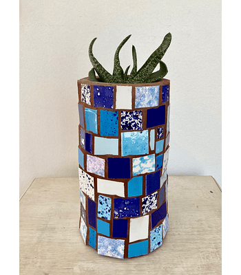 Maceta Mosaico Azul Gasteria