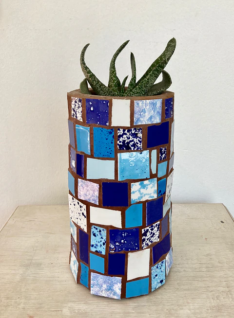 Maceta Mosaico Azul Gasteria
