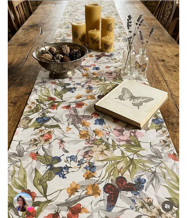 Camino de Mesa Mariposas.