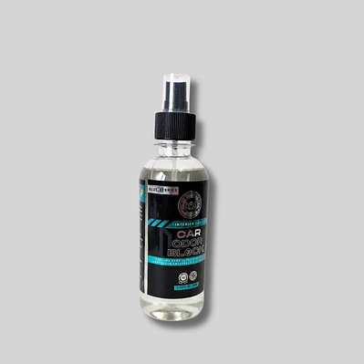 Eliminador de Olores Odorblock Auto, Blue Berries 250 ml