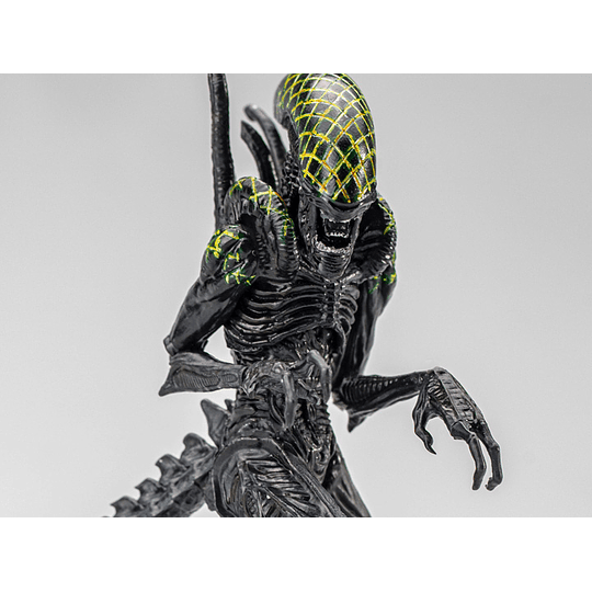 Grid Alien AVP Exquisite Mini 1:18