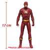 The Flash [TV Show] DC Multiverse 7
