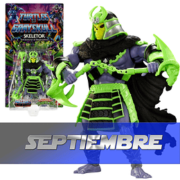 Skeletor Wave 3 Turtles of Grayskull Masters of the Universe