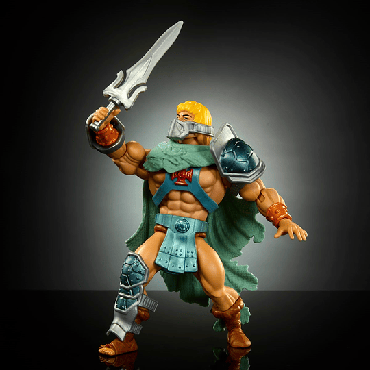 Stealth Ninja He-Man Turtles of Grayskull Masters of the Universe MOTU