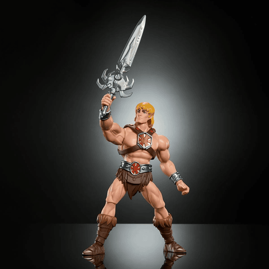 200x He-Man Cartoon Masters of the Universe MOTU