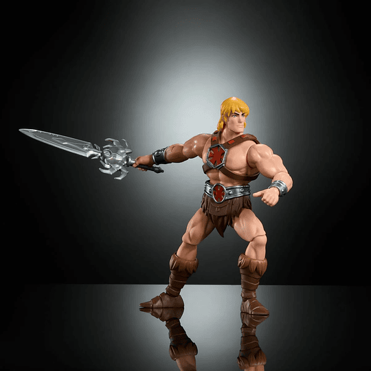 200x He-Man Cartoon Collection Masters of the Universe MOTU