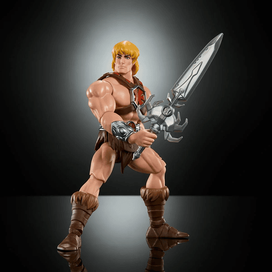 200x He-Man Cartoon Collection Masters of the Universe MOTU