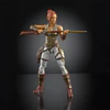 Teela Chronicles Masters of the Universe MOTU