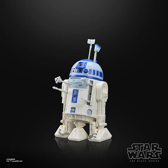 Artoo-Detoo (R2-D2) Star Wars Droids The Black Series 6