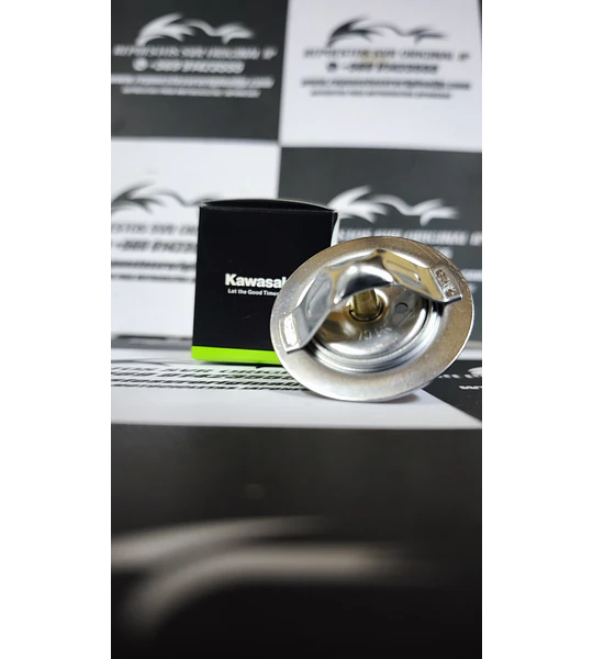 TERMOSTATO KAWASAKI ZZR600, ZZR400, ZXR750, ZZR1200, ZG1000, VULCAN 750, ZX9
