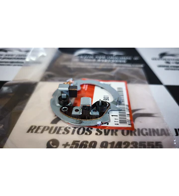 PLACA DE CARBONES