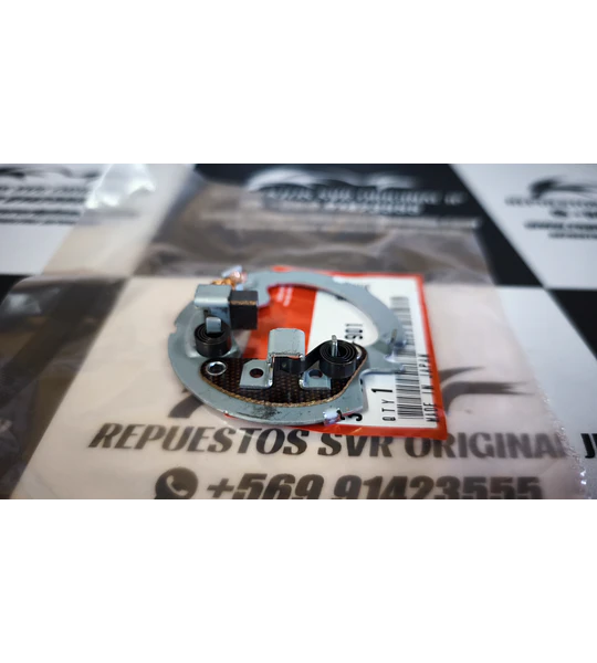 PLACA DE CARBONES