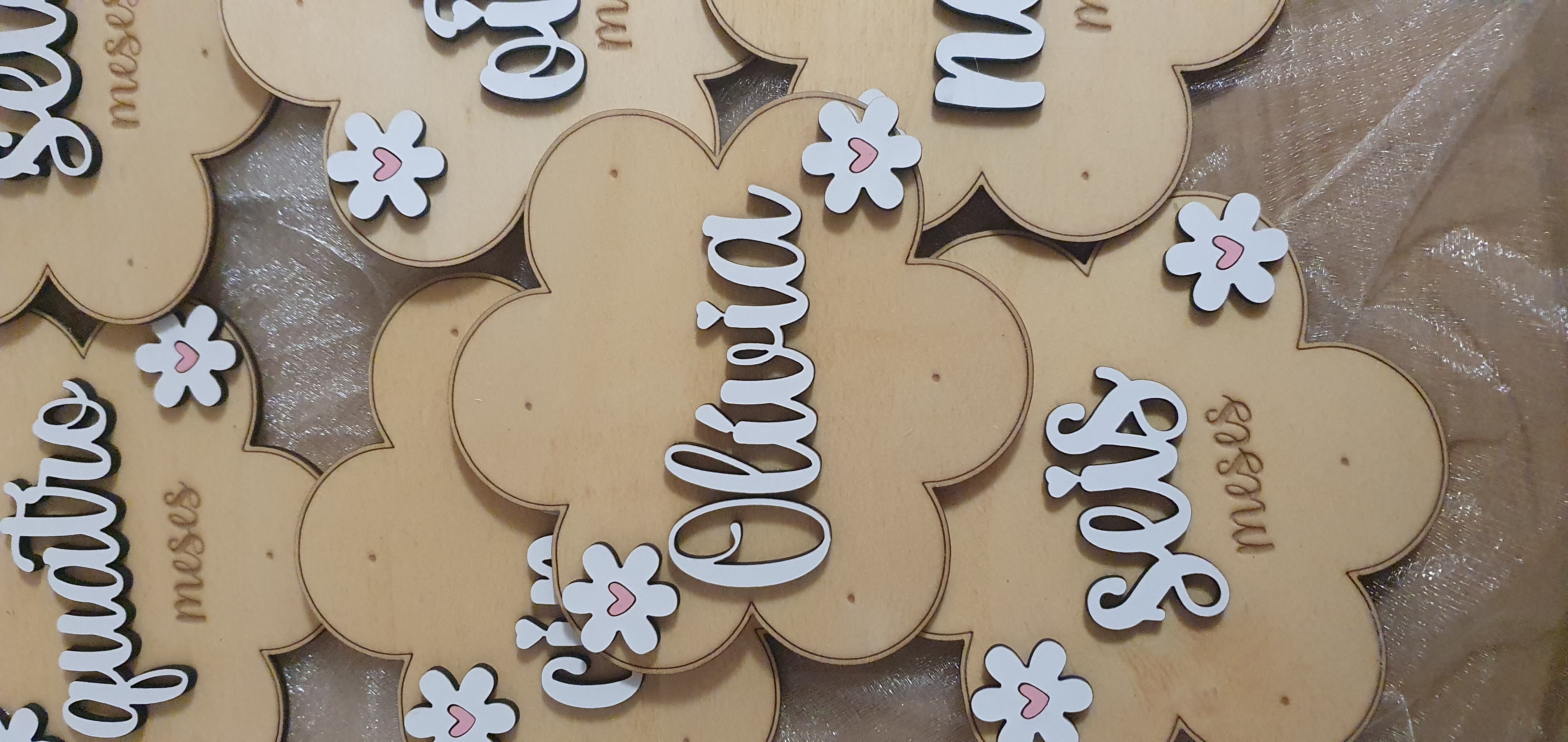 Placas de nascimento / Milestones flor colorida 1