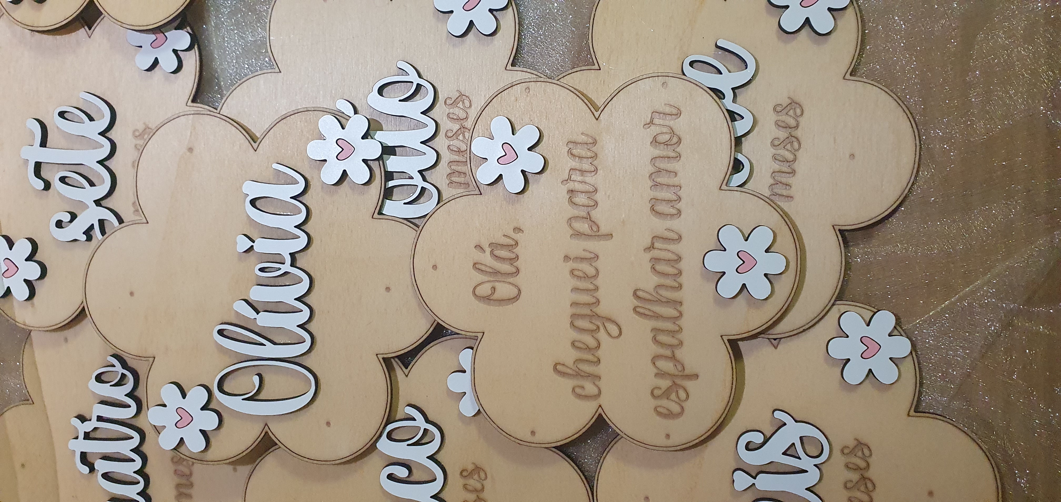 Placas de nascimento / Milestones flor colorida 2