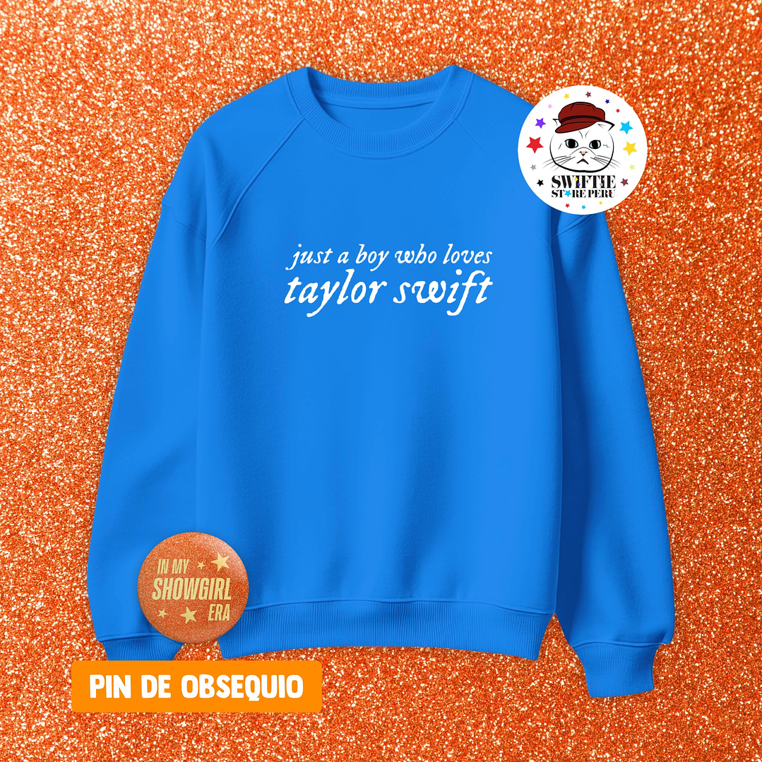 Polera Bordada - just a boy who loves taylor swift 4