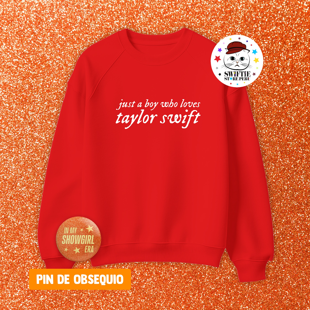 Polera Bordada - just a boy who loves taylor swift 9