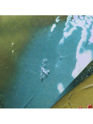 LIQUIDACION THE LIFE OF A SHOWGIRL CD - SWEAT AND VANILLA EDITION #2