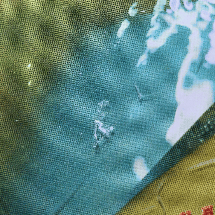 LIQUIDACION THE LIFE OF A SHOWGIRL CD - SWEAT AND VANILLA EDITION #2 2