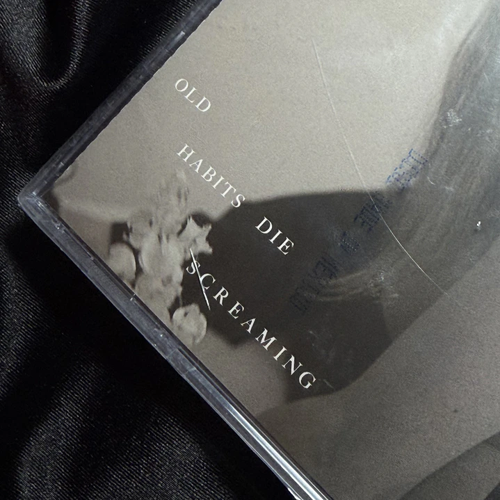 LIQUIDACION CD THE TORTURED POETS DEPARTMENT - THE BLACK DOG #1 4