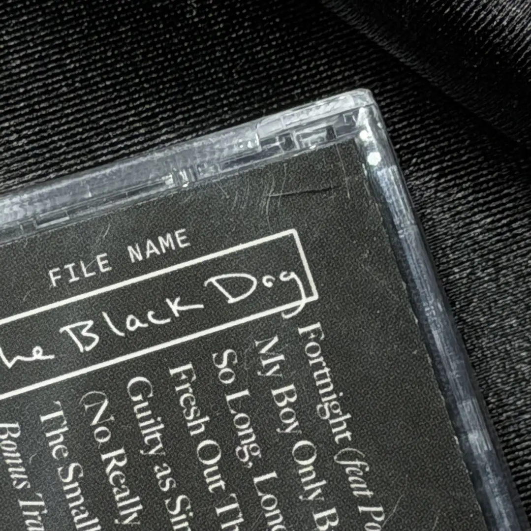 LIQUIDACIÓN CD THE TORTURED POETS DEPARTMENT - THE BLACK DOG #11 4