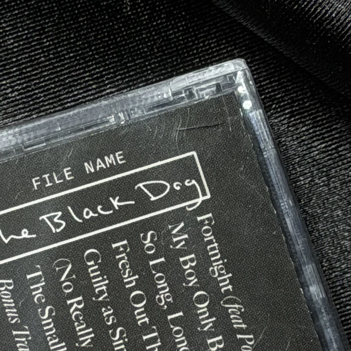 LIQUIDACIÓN CD THE TORTURED POETS DEPARTMENT - THE BLACK DOG #11 4