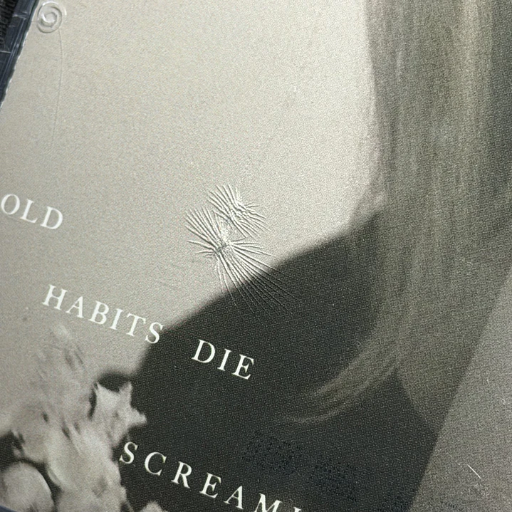 LIQUIDACIÓN CD THE TORTURED POETS DEPARTMENT DELUXE THE BLACK DOG 4
