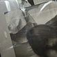 LIQUIDACIÓN CD THE TORTURED POETS DEPARTMENT - THE BOLTER #3 - Miniatura 2