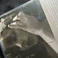 LIQUIDACIÓN CD THE TORTURED POETS DEPARTMENT - THE BOLTER #3 - Miniatura 4