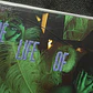 LIQUIDACION THE LIFE OF A SHOWGIRL CD - IT'S RAPTUROUS #5 - Miniatura 3